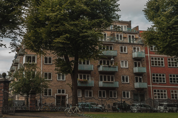 Green trees and facades of building on urban street with cloudy sky at background in Copenhagen, Denmark  - Photo, Image