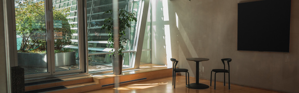 Panoramatická plodina interiéru místnosti s rostlinami na terase - Fotografie, Obrázek