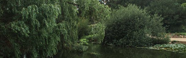 デンマーク、コペンハーゲンの植物園のポンド近くの緑の木のパノラマ作物  - 写真・画像