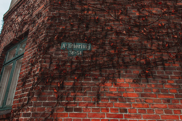 デンマークのコペンハーゲンの建物のレンガ造りのファサードの通りと植物の名前を持つ看板  - 写真・画像