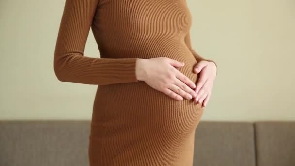 Detailní záběr těhotné ženy, jak stojí a hladí si břicho - Záběry, video