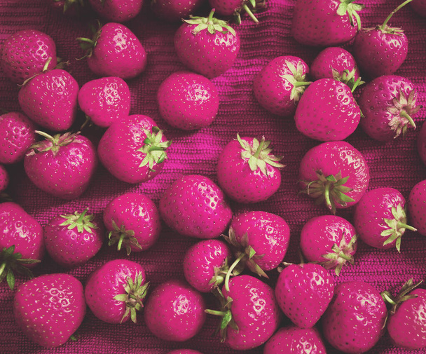 Fresh ripe strawberries close up. Organic product suitable for vegeterians and vegans. Healthy food concept background. Toned in pink - Photo, Image