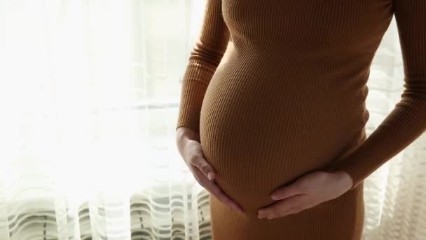 Primer plano de la mujer embarazada de pie acariciando su estómago
 - Metraje, vídeo
