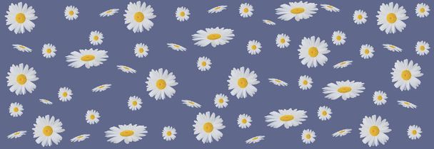 Composição da flor. Flores de camomila em um fundo azul. Primavera, conceito de verão. Layout plano, tamanho do banner
 - Foto, Imagem