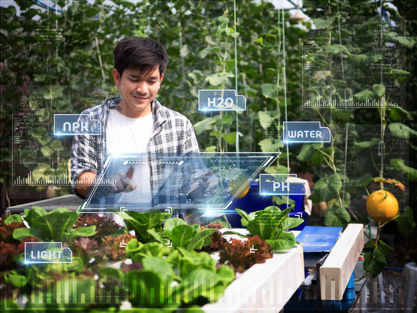 młody inteligentny rolnik z Azji wykorzystujący technologię szkła projekcyjnego Ar, Vr, 3d w swoim inteligentnym gospodarstwie. - Zdjęcie, obraz