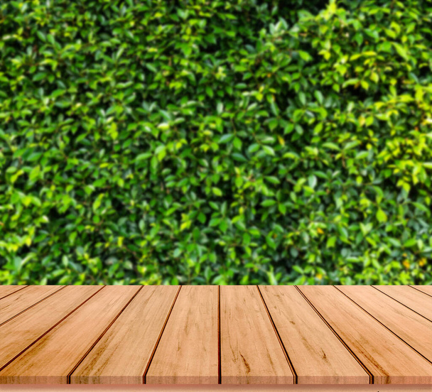 tablones de madera con hermoso fondo con hojas - Foto, Imagen