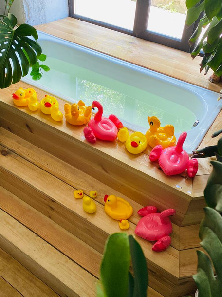 Kids toys in the form of ducklings and flamingos are next to a bathtub full of water for bathing a child on background of houseplants. - Photo, Image