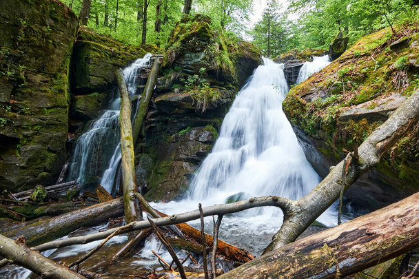 Prachtige Voievodyn waterval in de Oekraïense Karpaten. Een krachtige stroom van water stroomt tussen enorme stenen en oude snags - Foto, afbeelding