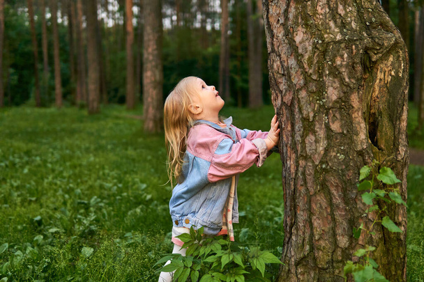 happy little girl girl looking up along a tree trunk seeing a bird or squirrel  - Photo, Image