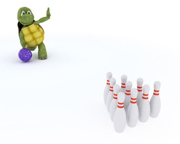 черепаха десять штифтів боулінг
 - Фото, зображення