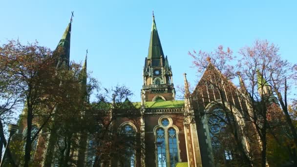 pigeons volent au-dessus de l'ancienne église cathédrale catholique avec parc d'automne à Lviv, Ukraine
 - Séquence, vidéo