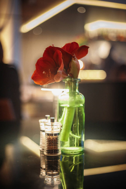 Hibiscus dans un vase transparent
 - Photo, image