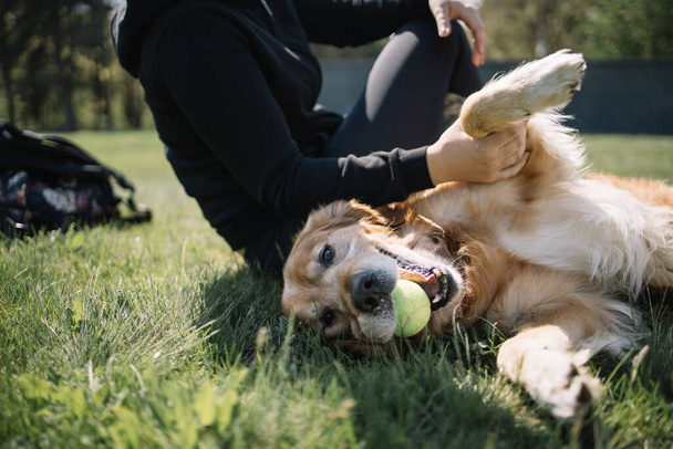 Happy dog lying on ground and playing with tennis ball - Foto, immagini