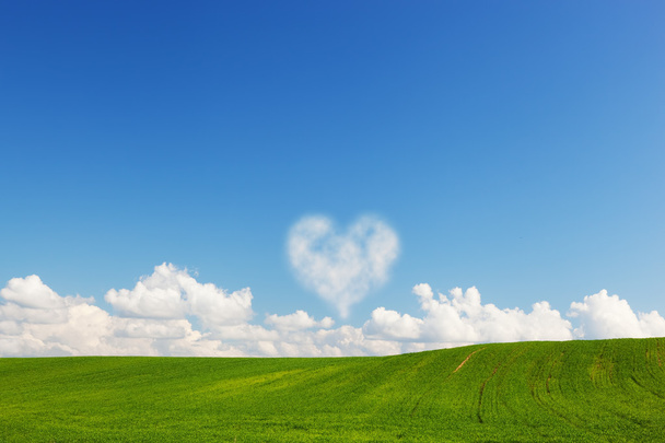 καρδιά σχήμα σύννεφο πάνω από το καλοκαίρι πράσινο τοπίο πεδίο - Φωτογραφία, εικόνα