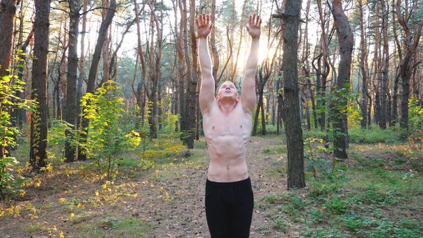 Young man working out at beautiful sunny forest. Flexible gymnast training in scenic environment. Athlete showing yoga exercises outdoor. Concept of healthy and active lifestyle. Dolly shot Close up. - Fotó, kép