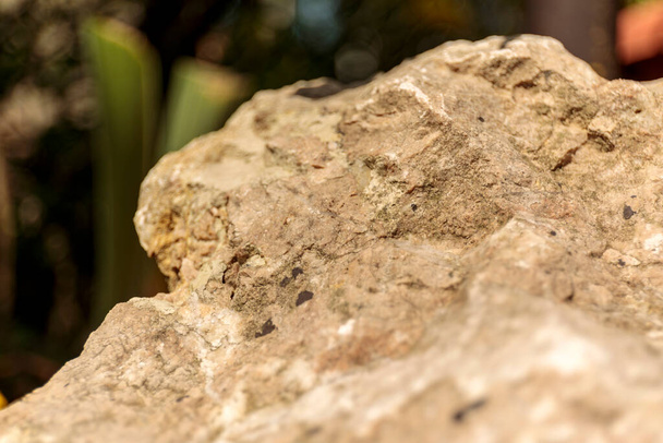 Progettazione del paesaggio, un elemento di roccia - una bella composizione di pietre e piante
 - Foto, immagini