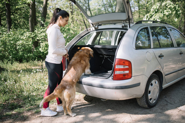 Dog getting in car trunk in nature - Foto, immagini
