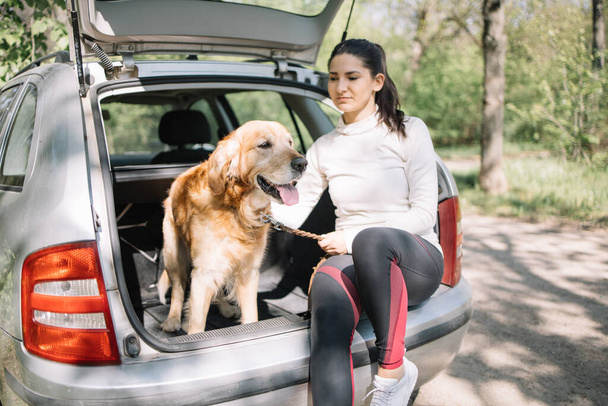 Happy dog sitting in opened cars trunk with girl - 写真・画像