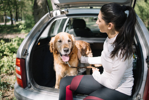 Retriever dog sitting in opened trunk with woman - 写真・画像