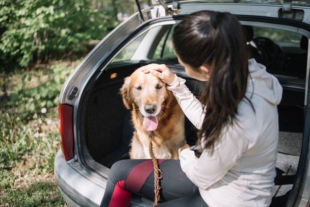 Blurred girl petting dogs head while sitting in car trunk - Photo, image