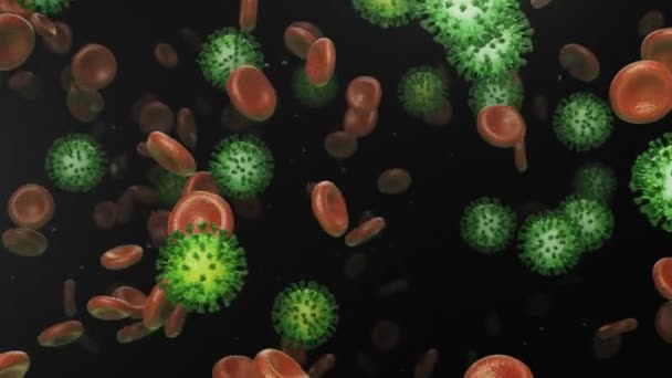 flying blood cells with coronavirus - Footage, Video