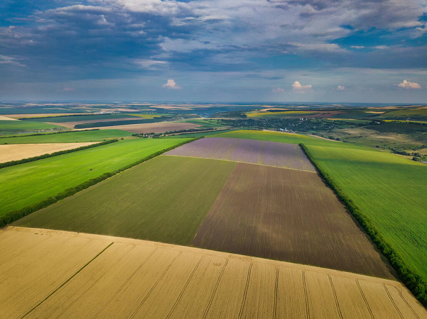 Green fields aerial view before harvest at summer - Fotoğraf, Görsel