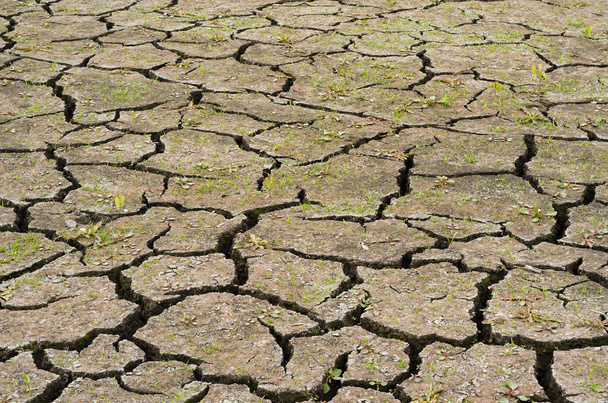 сухой пруд с трещинами земли 6
 - Фото, изображение