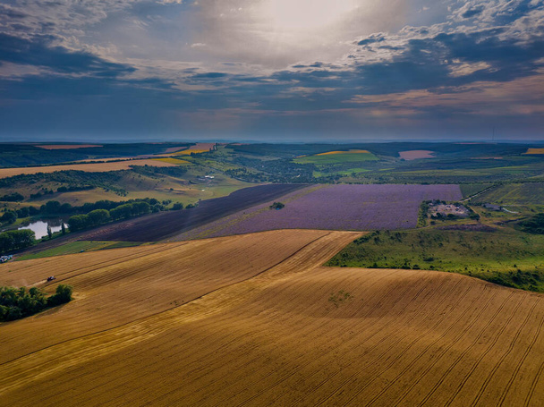 Campos verdes vista aérea antes de la cosecha en verano - Foto, imagen