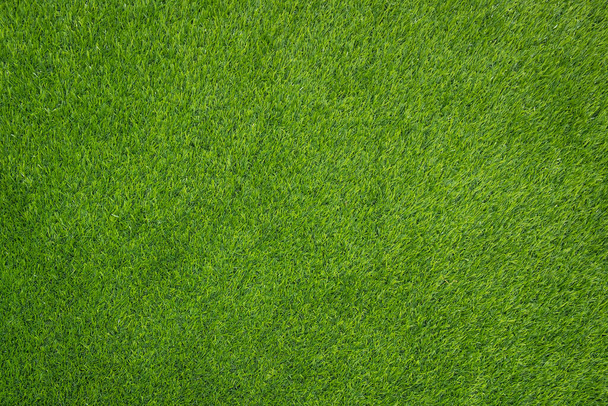 Top view of green grass texture. - Photo, Image