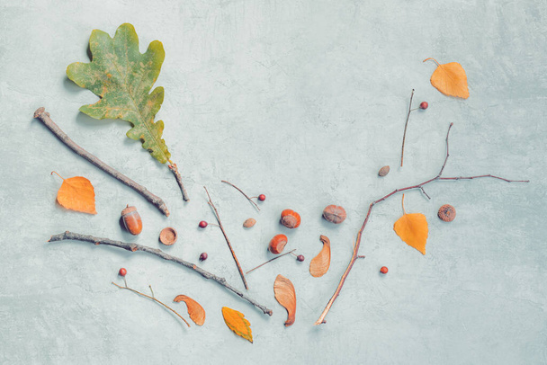 Autumn season flat lay decoration top view with leaves and branches, abstract minimal composition, copy space included - Foto, afbeelding