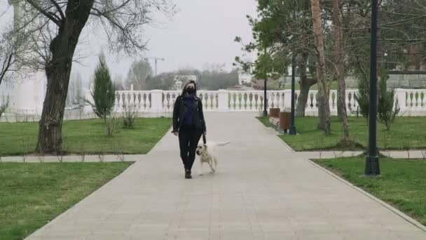 Back view of woman with black mask walks with her labrador dog in the park during the quarantine coronavirus COVID-19 pandemic in 2019-2020 coronavirus quarantine - Filmagem, Vídeo