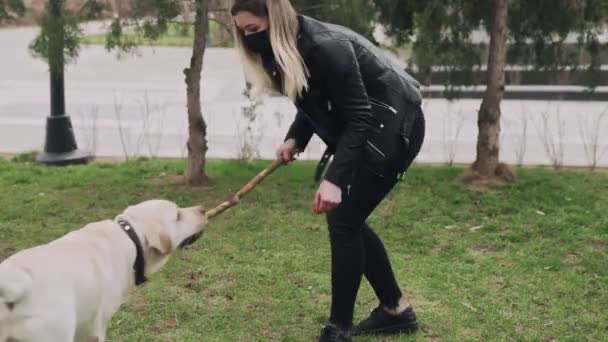 Atrakcyjna kobieta w czarnej masce bawi się swoim labradorem w parku podczas kwarantanny pandemii koronawirusa COVID-19 w latach 2019-2020 - Materiał filmowy, wideo