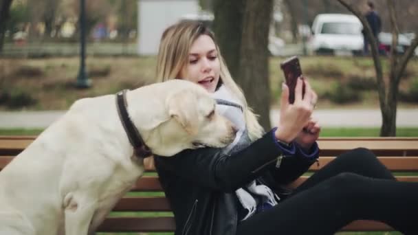 Young woman with retriever labrador dog doing selfie on bench in park. - Metraje, vídeo