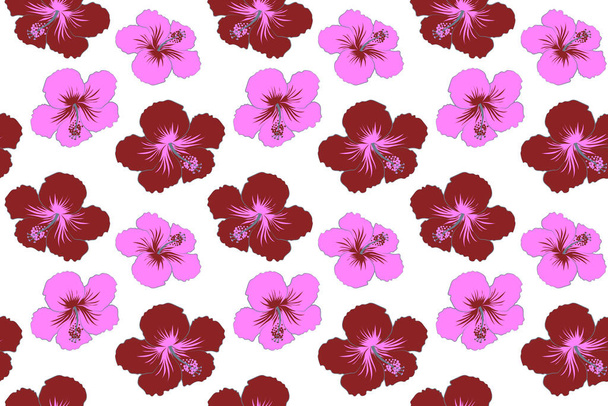 マゼンタと赤のシームレスな熱帯の花、ハイビスカスのパターン白い背景. - 写真・画像