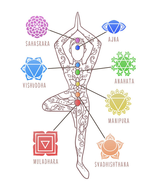 Yoga Man. Chakras, energy healing infographic - Vector, Image