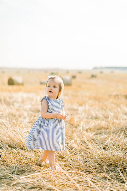 Happy cute toddler little baby girl in stylish striped dress walking on the background of sunny wheat summer field with hay stacks or bales, looking away - Foto, Imagen