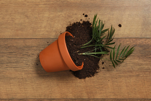 Overturned terracotta flower pot with soil and plant on wooden background, flat lay - Foto, imagen