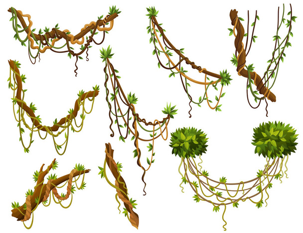 Ensemble de branches de lianes sauvages tordues. Plantes de vigne de jungle. Forêt tropicale tropicale naturelle boisée - Vecteur, image