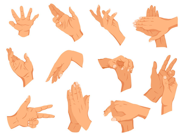 Emberi kézmozdulatok. Különböző emberi ujj gesztus jelek gyűjtése. Elszigetelt vektor illusztráció - Vektor, kép
