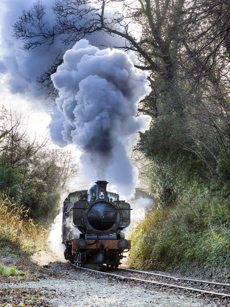 Train à vapeur - Photo, image