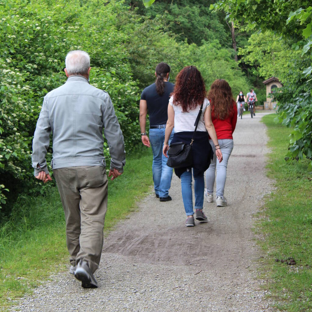 Familie wandelingen in het park in de zomer - ontspanning en natuur - Foto, afbeelding