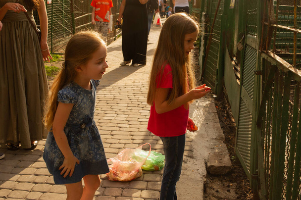 Dvě holčičky v zoo. Dvě malé holčičky v ZOO v letním krmení a podívejte se na různá zvířata. Dívky 5 a 6 let. - Fotografie, Obrázek