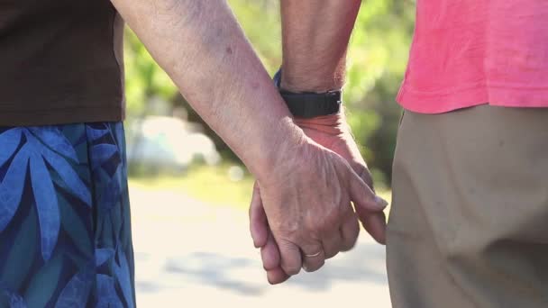 idős pár sétáló kéz a szabadban - Felvétel, videó
