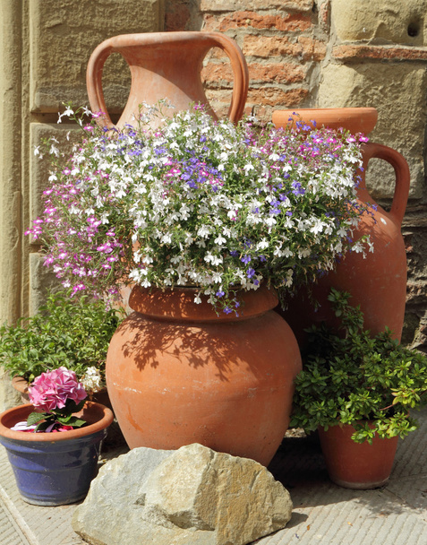 Fleurs lobéliques multicolores en vases vintage en terre cuite
 - Photo, image