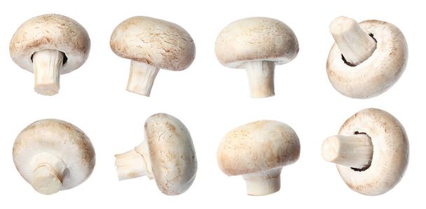 Set with fresh champignon mushrooms on white background - Foto, afbeelding