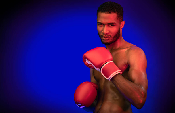 Determined Boxer Posing Wearing Gloves Ready To Fight, Studio Shot - Photo, Image