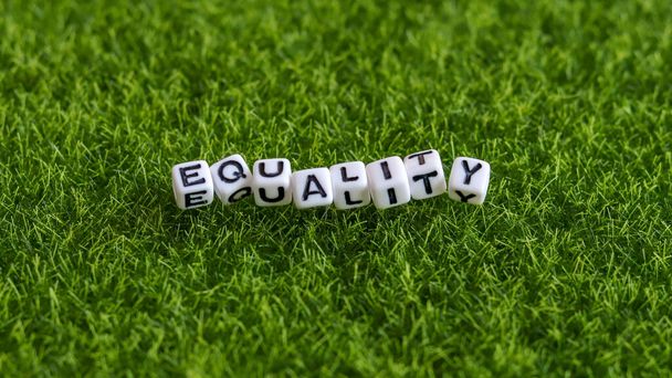 EQUALITY text cube on the lawn. - Фото, изображение