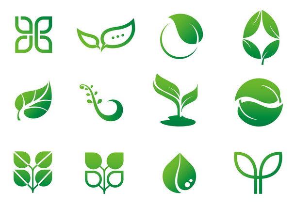 icono de la hoja / hoja, motivo verde logotipo vector ilustración conjunto
 - Vector, imagen