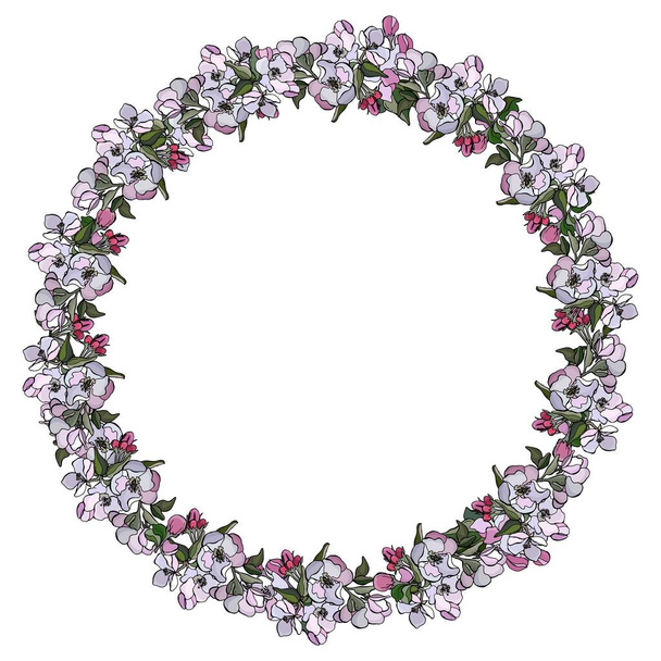 Round wreath of flowers of apple trees. White background, isolate. - Vector, imagen
