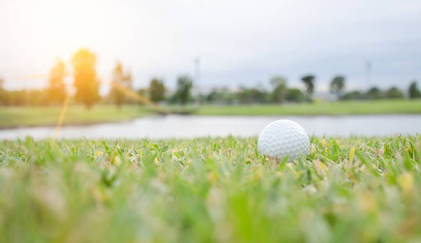 Pelota de golf blanca en el césped verde Deportes al aire libre con tonos naranja cálidos
 - Foto, Imagen
